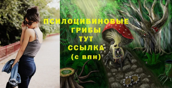 меф Нягань