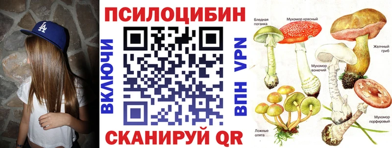 Галлюциногенные грибы Psilocybine cubensis  даркнет сайт  Куровское 