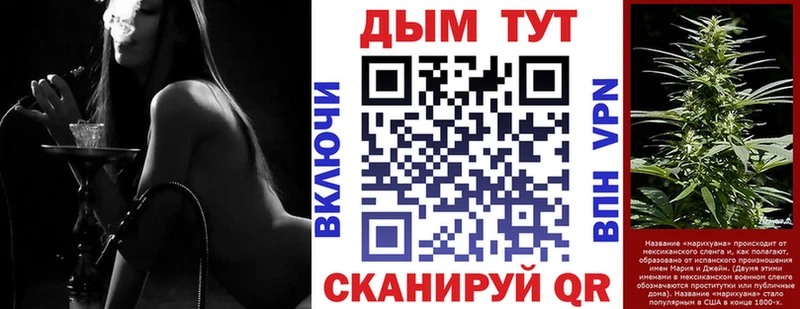 Каннабис план  купить   Куровское 